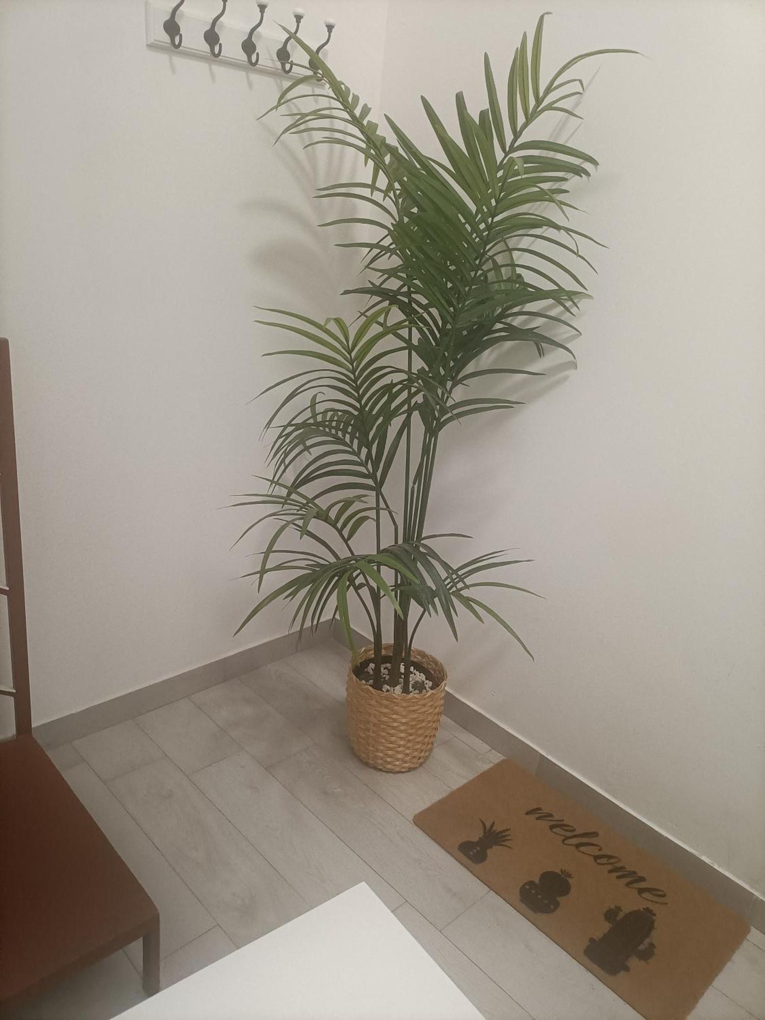 Airportandbeachhouse